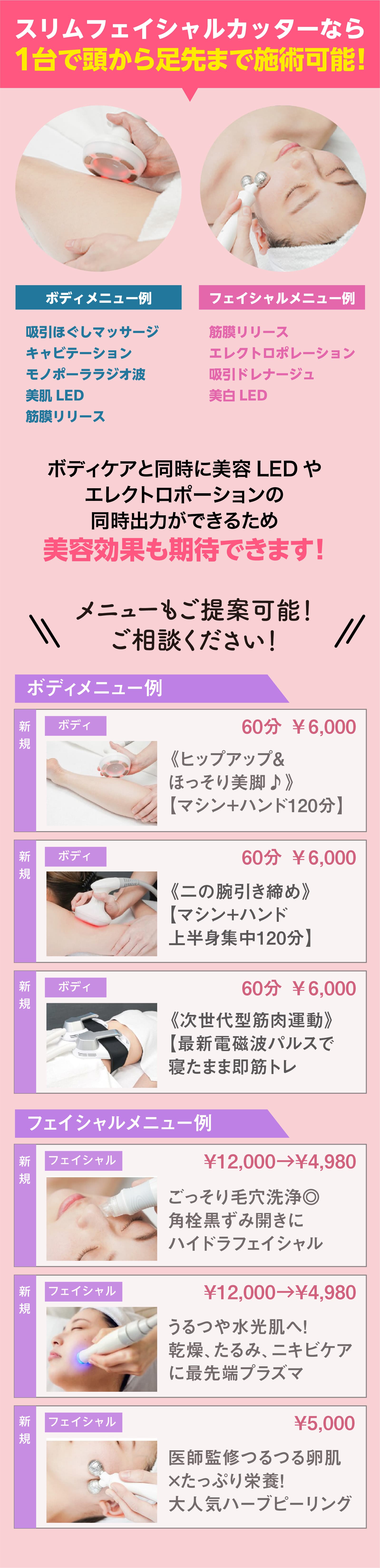 VISEA スリムフェイシャルカッターの特徴とメニュー例